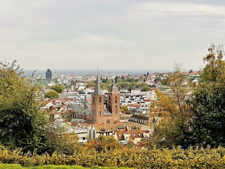 IMG_3336