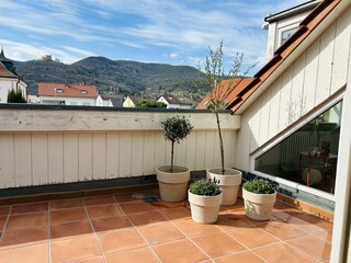 Appartement Maikammer Buitenaudio-opname 9