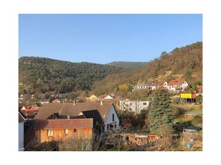 Apartamento Neustadt an der Weinstraße Grabación al aire libre 3