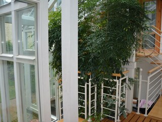 Blick in den Wintergarten