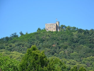 Aussicht vom Wohnzimmer