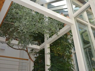 Wintergarten