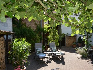 Siesta zwischen Sommerblumen und Feigenbaum