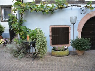 Apartamento Maikammer Grabación al aire libre 13