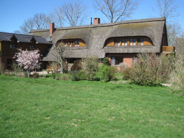 Ferienwohnung "Seehundsbank"