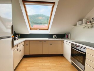 Apartamento Neustadt an der Weinstraße Características 40