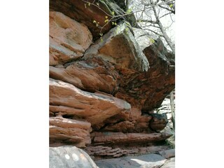 IMG-20220421-WA0146