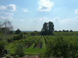 Gartenseite