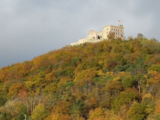 P1000181
