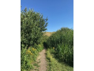 Appartamento per vacanze Petten Ambiente 18