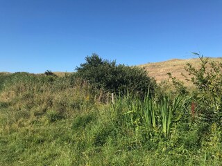 Appartamento per vacanze Petten Ambiente 20