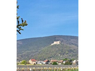 Ansicht Hambacher Schloß