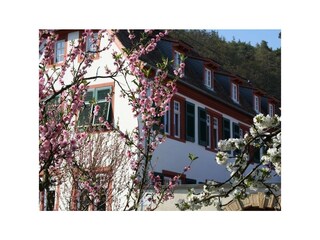 Hausansicht Blüte