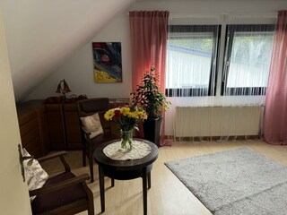 Wohn-/Schlafzimmer (4)