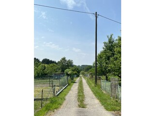 Spazierweg in Gemünden