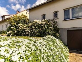 Hausansicht (Bild2)