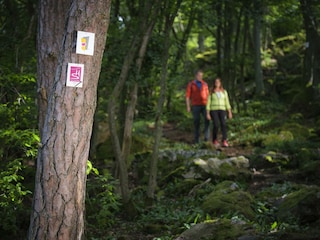 Premiumanderwege rund um Gehlweiler