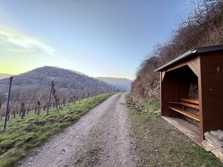 Wanderwege auch im Herbst und Winter genießen