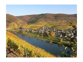 Ortsansicht  von Bruttig