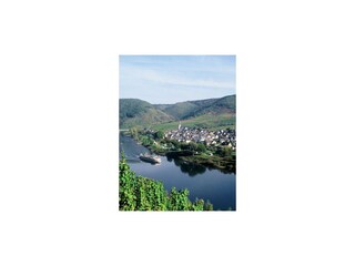 Bruttig mit Schiff auf der Mosel