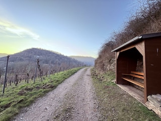 Wanderwege auch im Herbst und Winter genießen