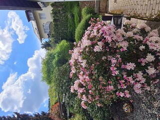Ferienhaus Am Reilsbach