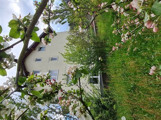 Ferienhaus Am Reilsbach /Beethovenstraße