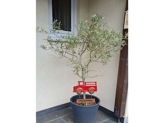 Ferienhaus Am Reilsbach /Beethovenstraße