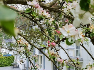Ferienhaus Am Reilsbach