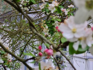 Ferienhaus Am Reilsbach