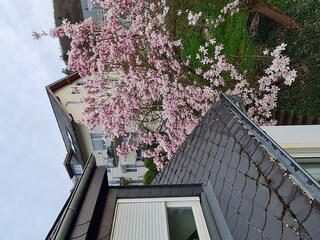 Ferienhaus Am Reilsbach