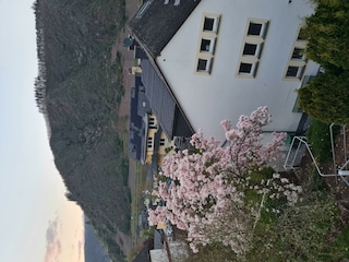 Ferienhaus Am Reilsbach