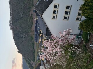 Ferienhaus Am Reilsbach