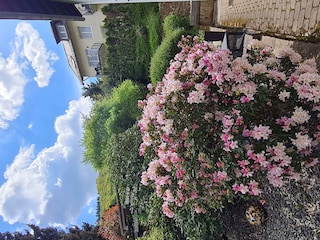 Ferienhaus Am Reilsbach