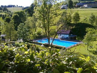 Holiday apartment Todtnauberg Environment 26