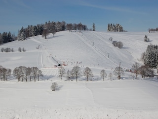 Ferienwohnung Todtnauberg Umgebung 30