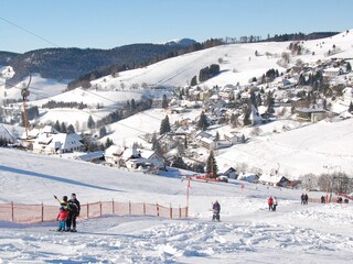 Holiday apartment Todtnauberg Environment 31