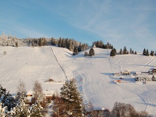 Holiday apartment Todtnauberg Environment 32