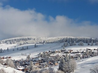 Ferienwohnung Todtnauberg Umgebung 36
