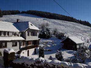 Holiday apartment Landhaus Jäger Ferienwohnung No. 2 - Todtnauberg - image1