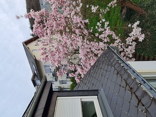 Ferienhaus Am Reilsbach