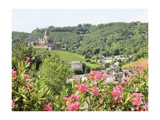 die Aussicht aus der Ferienwohnung auf die Burg