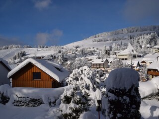 Holiday apartment Todtnauberg  24