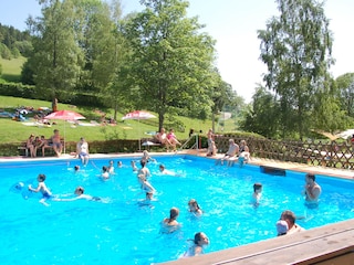 Holiday apartment Todtnauberg Swimming Pool 16