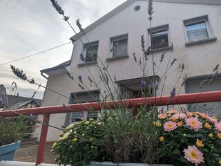 PXL_20230730_173825105