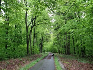 Schinderhannesradweg