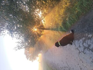 Herbstmorgen auf der Gusterather Höhe