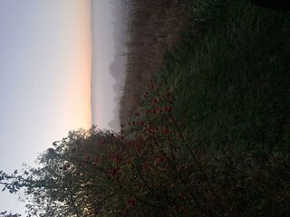 Frühherbst in Gusterath