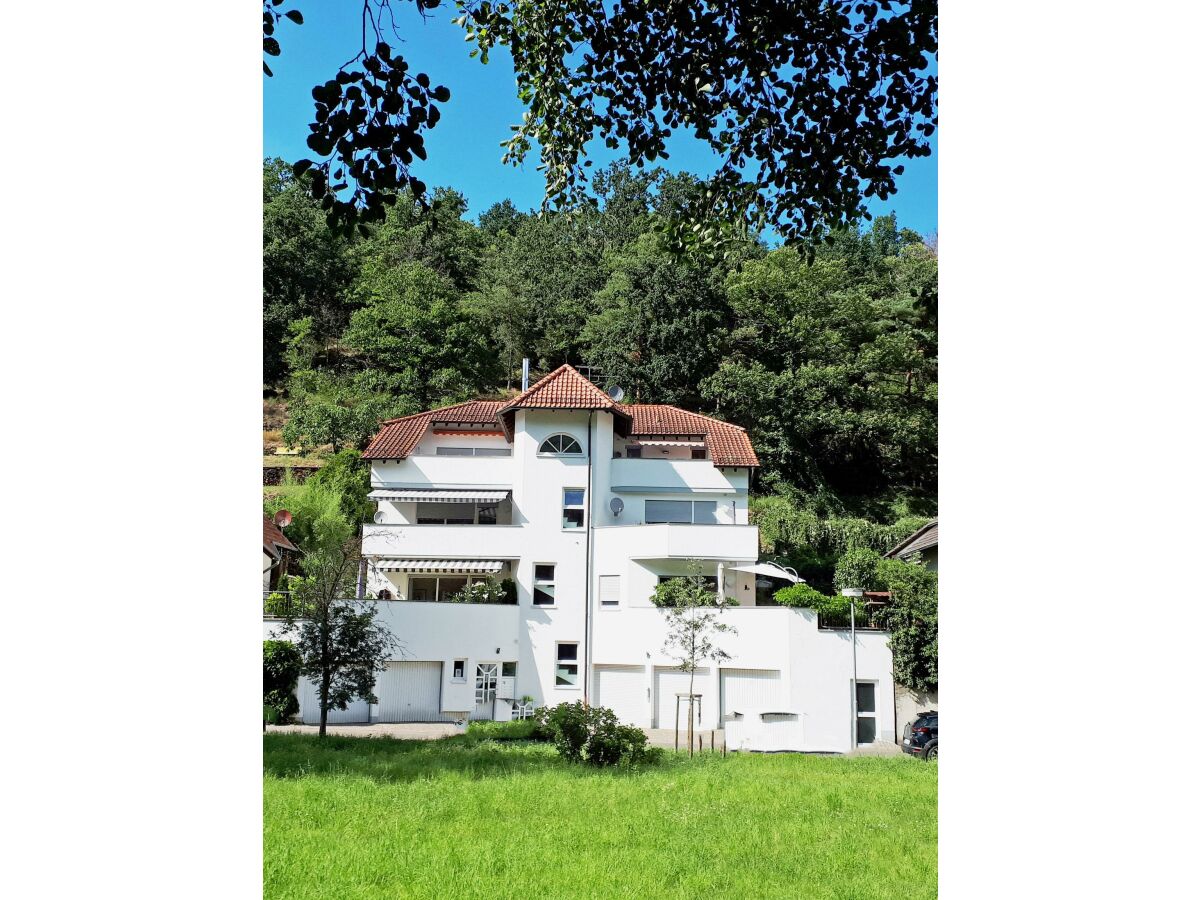 Haus