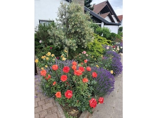 Vor dem Haus